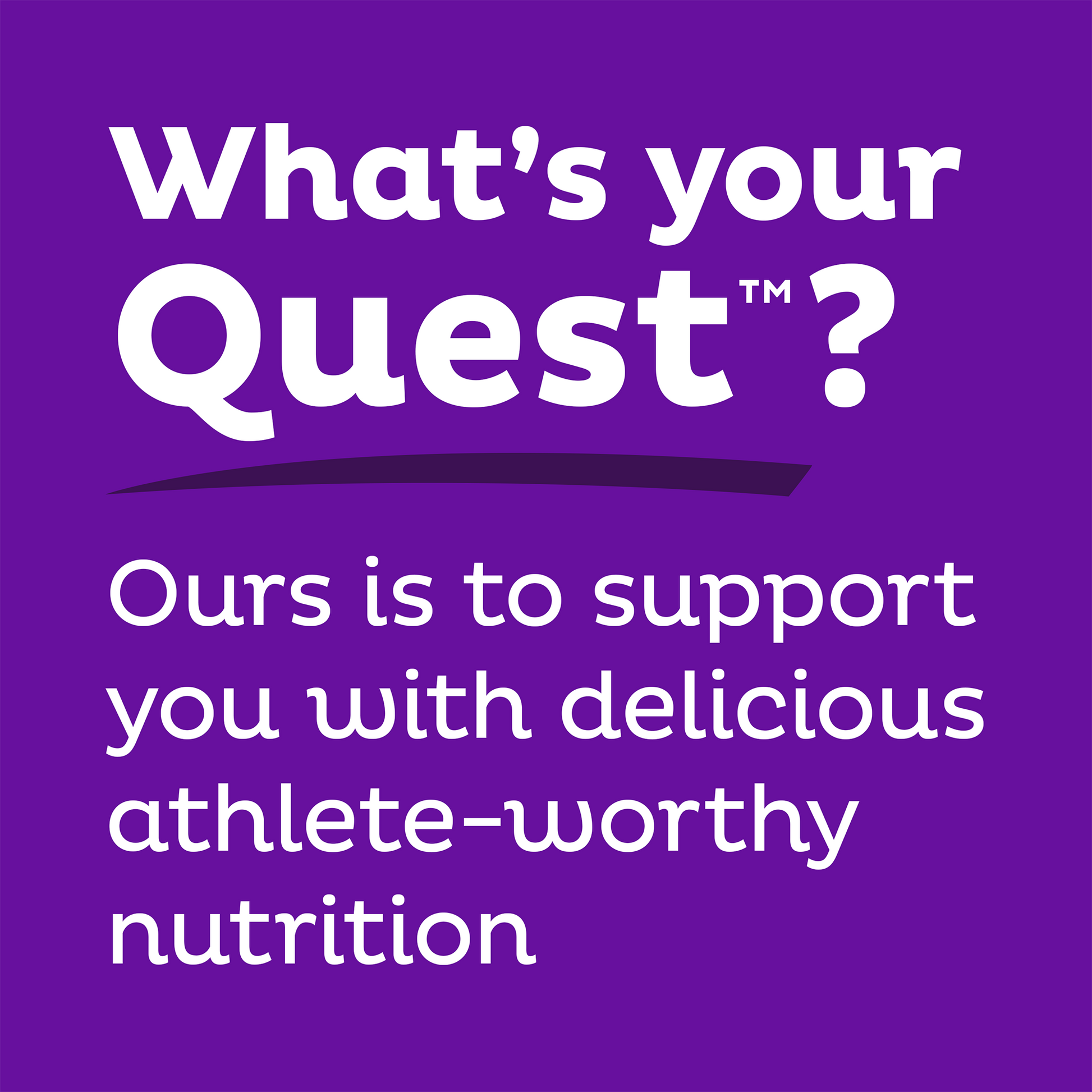 double-chocolate-chunk-protein-bars-k2 qst-000241_double-chocolate-chunk-protein-bars_9.png